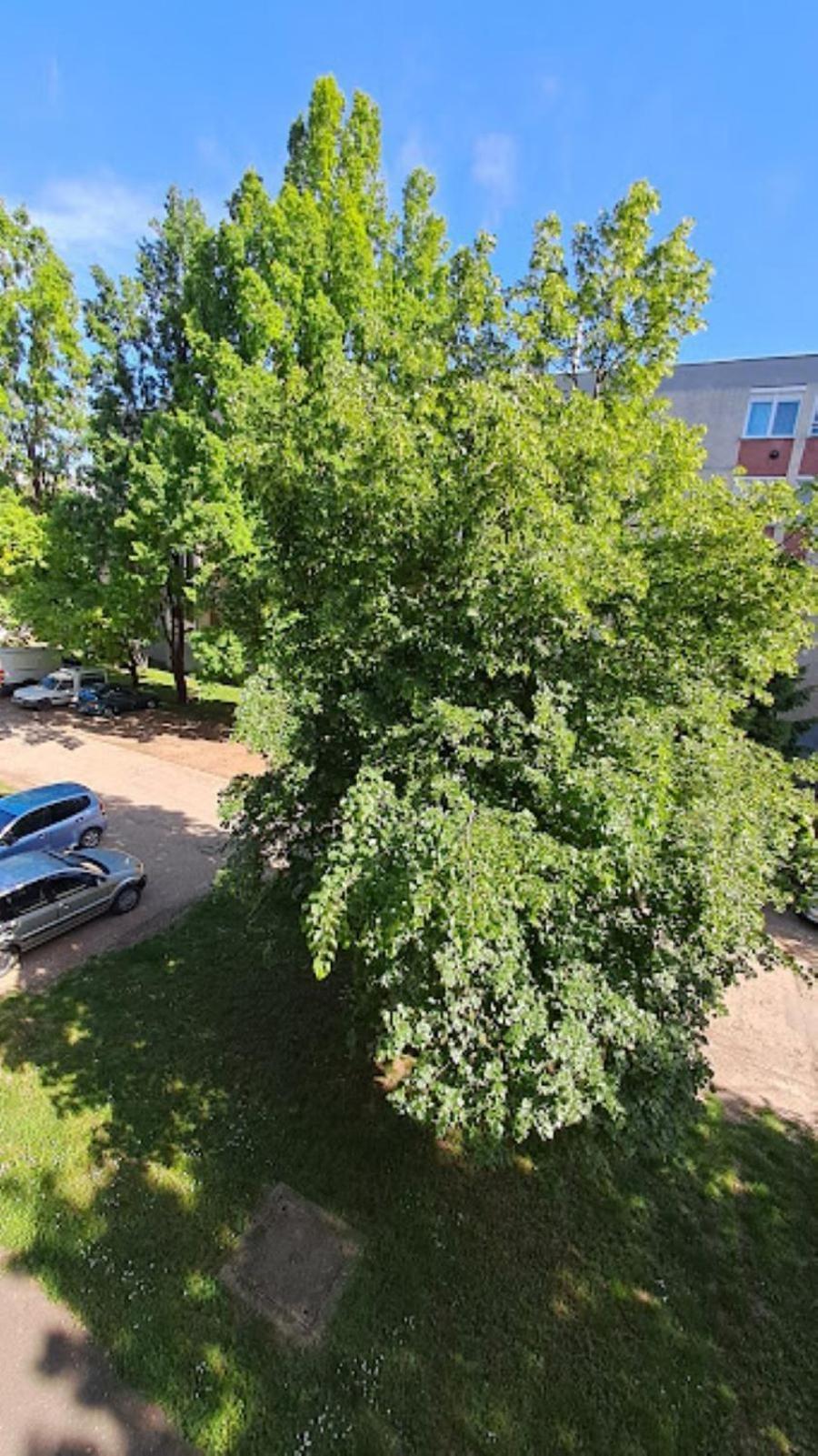 Szilfak City Apartman Hajdúszoboszló 外观 照片